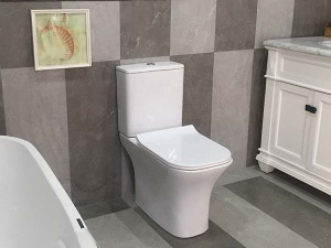 Напольный унитаз Cerutti Vettore MW CT9240 безободковый с крышкой Soft Close