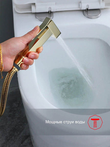 Смеситель встраиваемый Raglo R01.52.23 с гигиеническим душем