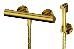 Смеситель для биде Whitecross Y SYSYBI3GL с термостатом