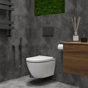 Подвесной унитаз Roxen Antares Black 530110-01B Rimless Soft Close