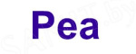 Pea