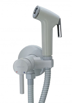 Смеситель встраиваемый Wisent WG5398B-2 / WG5398W-2 с гигиеническим душем