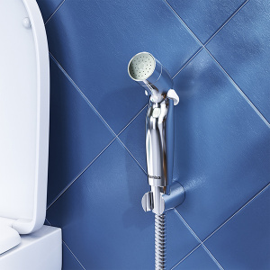 Гигиеническая лейка Damixa Shower program 760550100