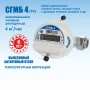 Счетчик газовый бытовой малогабаритный СГМБ-4 ТК (Россия)