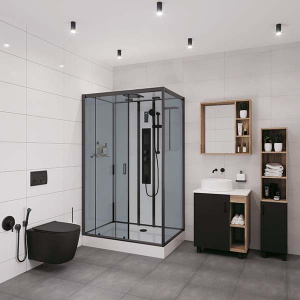 Душевая кабина Niagara NG-6912-01GQL / NG-6912-01GQR Black, 120х80 L, тонированный