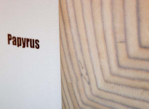 Зеркало Aqwella Clarberg Papyrus-wood