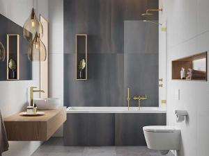Душевая шторка на ванну Radaway Essenza Pro Brushed Gold PNJ II