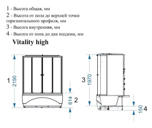 Душевая кабина Domani-Spa Vitality high матовая, 120х120, матовый
