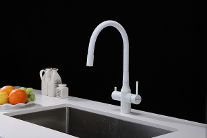 Смеситель для кухонной мойки Paulmark Salix Sa213419-431(WH) с подключением к фильтру воды