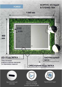 Зеркало Континент Forest LED прямоугольное
