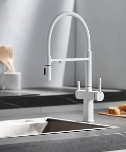 Смеситель для кухонной мойки Rose R358C под фильтр