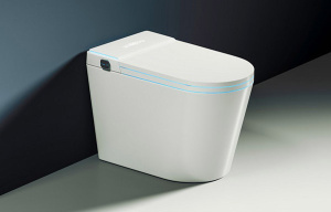 Приставной унитаз Abber Bequem AC1117S с функцией биде и импульсным смывом