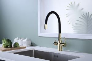 Смеситель для кухонной мойки Paulmark Salix Sa213419-G с подключением к фильтру воды