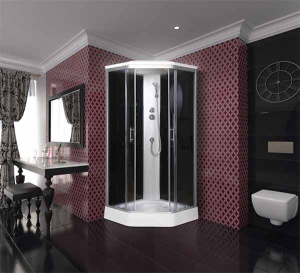 Душевая кабина Niagara NG-2506-01, 90х90, тонированный