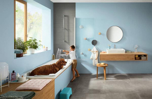 Смеситель для ванны Hansgrohe Ecostat E 15774000