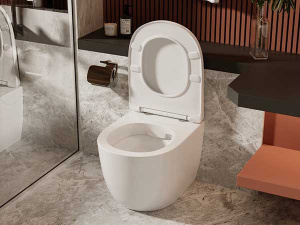 Приставной унитаз Abber Bequem AC1111