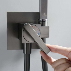 Смеситель встраиваемый Ganzer GZ01157-Q с гигиеническим душем