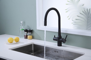 Смеситель для кухонной мойки Paulmark Salix Sa213419-401 с подключением к фильтру воды