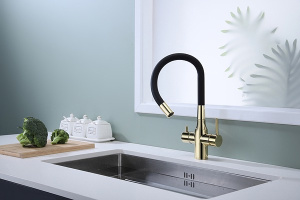 Смеситель для кухонной мойки Paulmark Salix Sa213419-G с подключением к фильтру воды