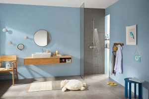 Смеситель для душа Hansgrohe Ecostat E 15773000