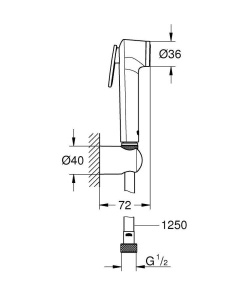 Гигиеническая лейка Grohe Tempesta-F 27812IL1