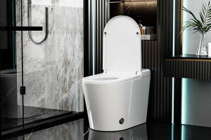 Приставной унитаз Abber Bequem AC1117S с функцией биде и импульсным смывом