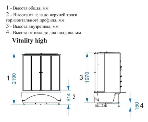 Душевая кабина Domani-Spa Vitality high, 120х120, прозрачный