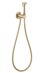 Смеситель встраиваемый Abber Wasser Kreis AF8125G / AF8125RG с гигиеническим душем, золото матовое