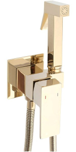 Смеситель встраиваемый Rea Fenix Gold REA-B5771 с гигиеническим душем